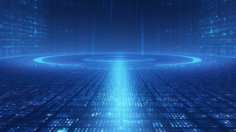 数字化案例分享：收费标准背后的考量因素